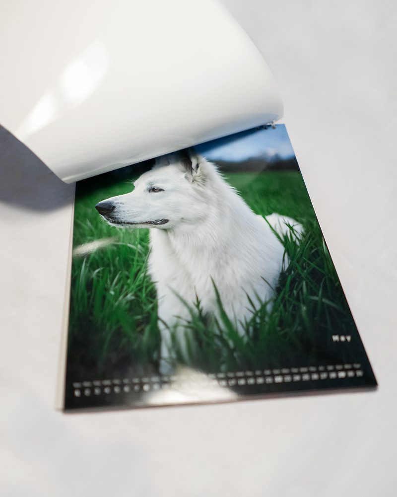 Muchacho Charly A4 Photo Calendar 2022 - Image 2
