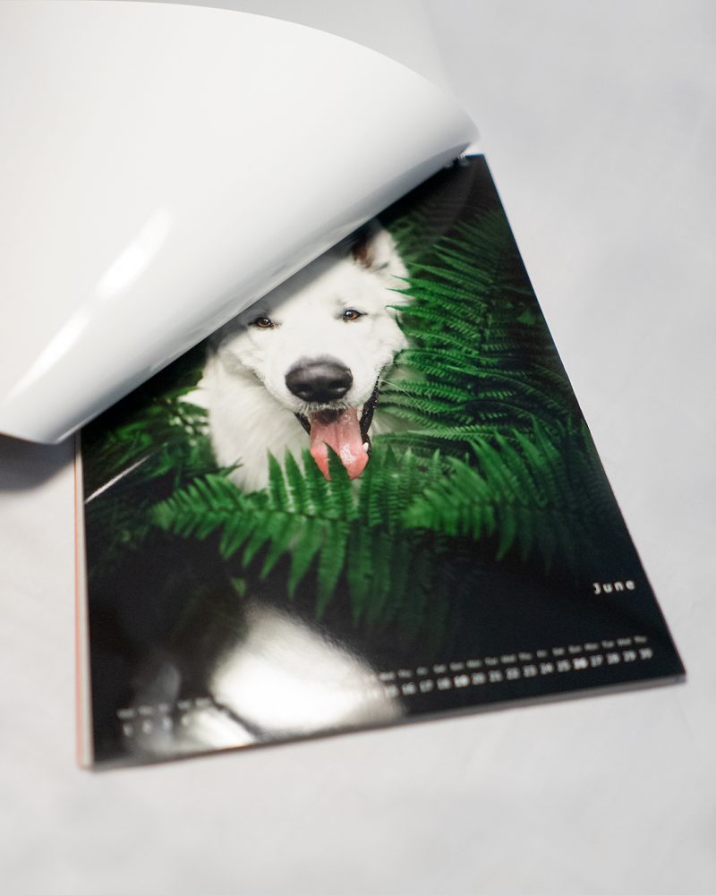 Muchacho Charly A4 Photo Calendar 2022 - Image 3