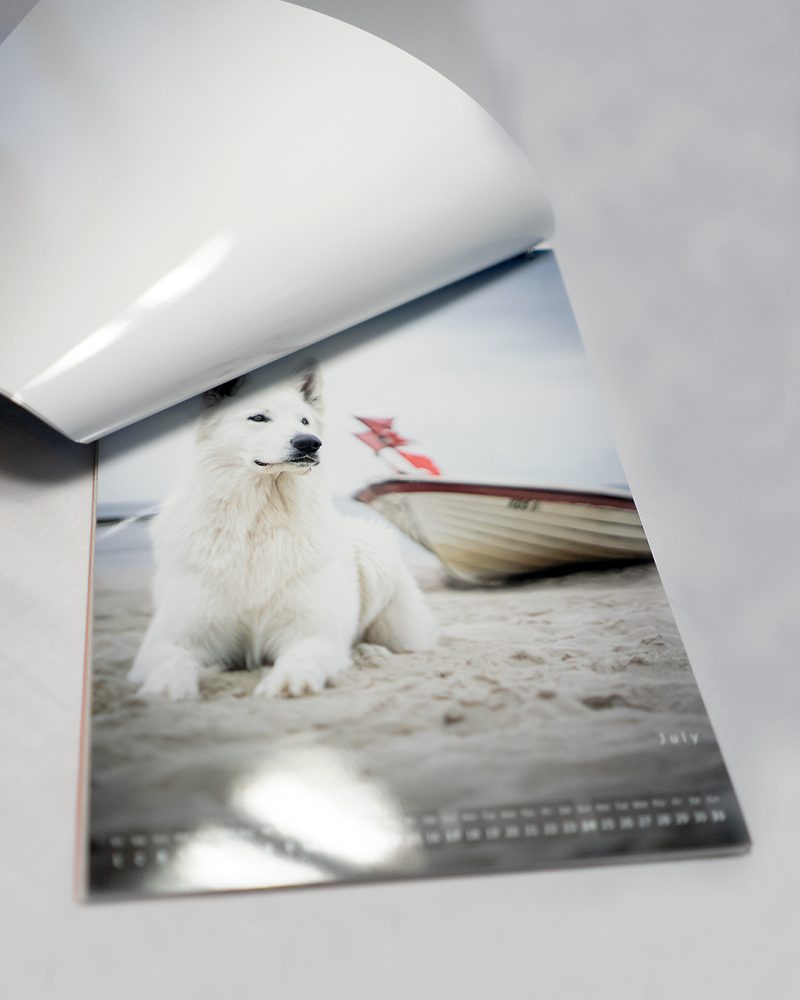 Muchacho Charly A4 Photo Calendar 2022 - Image 4
