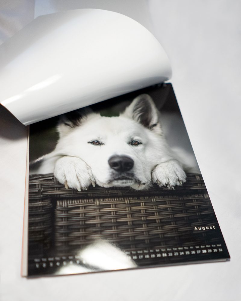 Muchacho Charly A4 Photo Calendar 2022 - Image 5