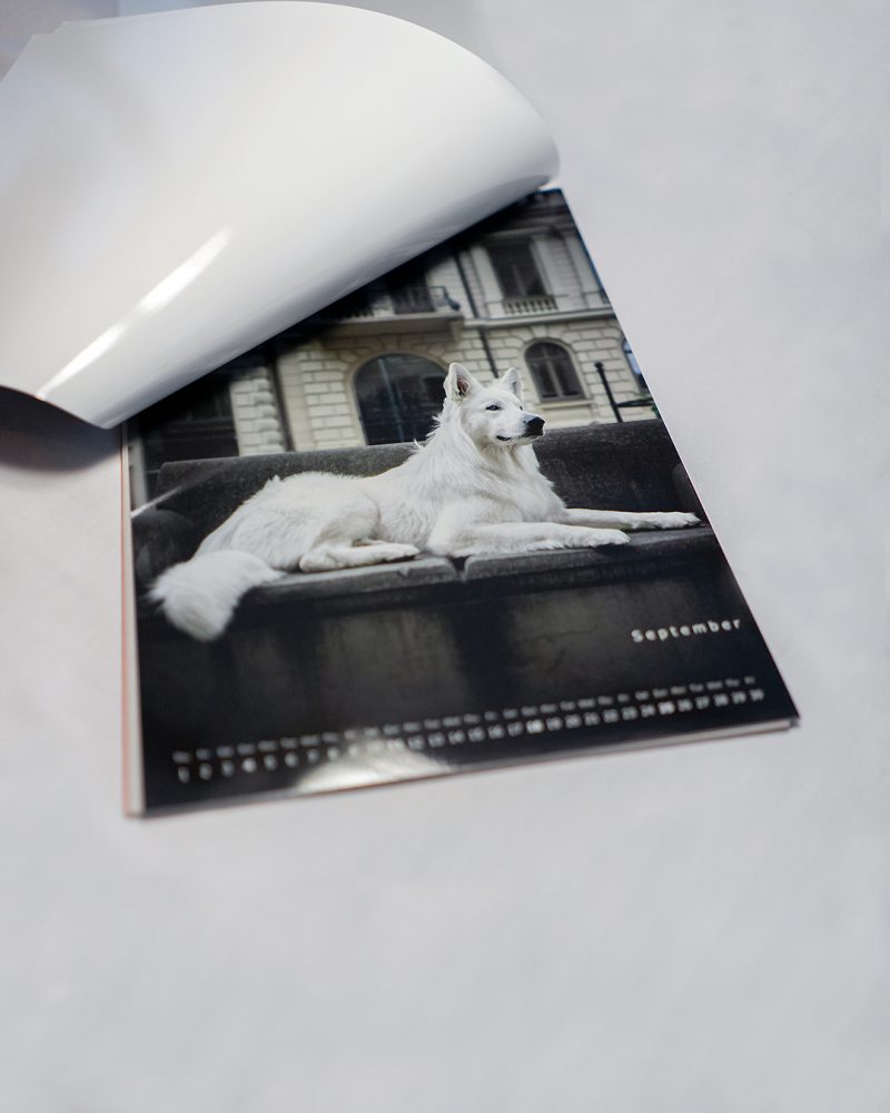 Muchacho Charly A4 Photo Calendar 2022 - Image 6