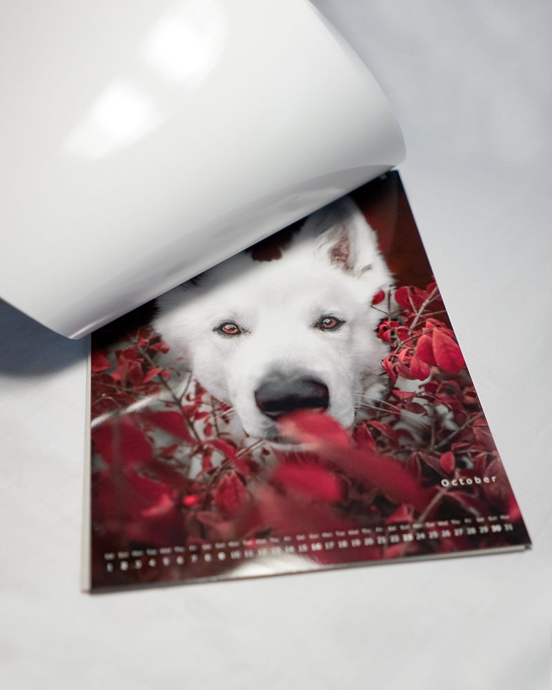 Muchacho Charly A4 Photo Calendar 2022 - Image 7