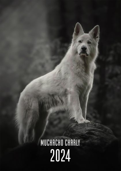 Muchacho Charly 2024 Calendar