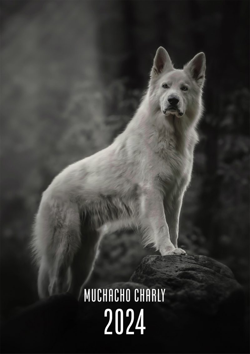 Muchacho Charly 2024 Calendar