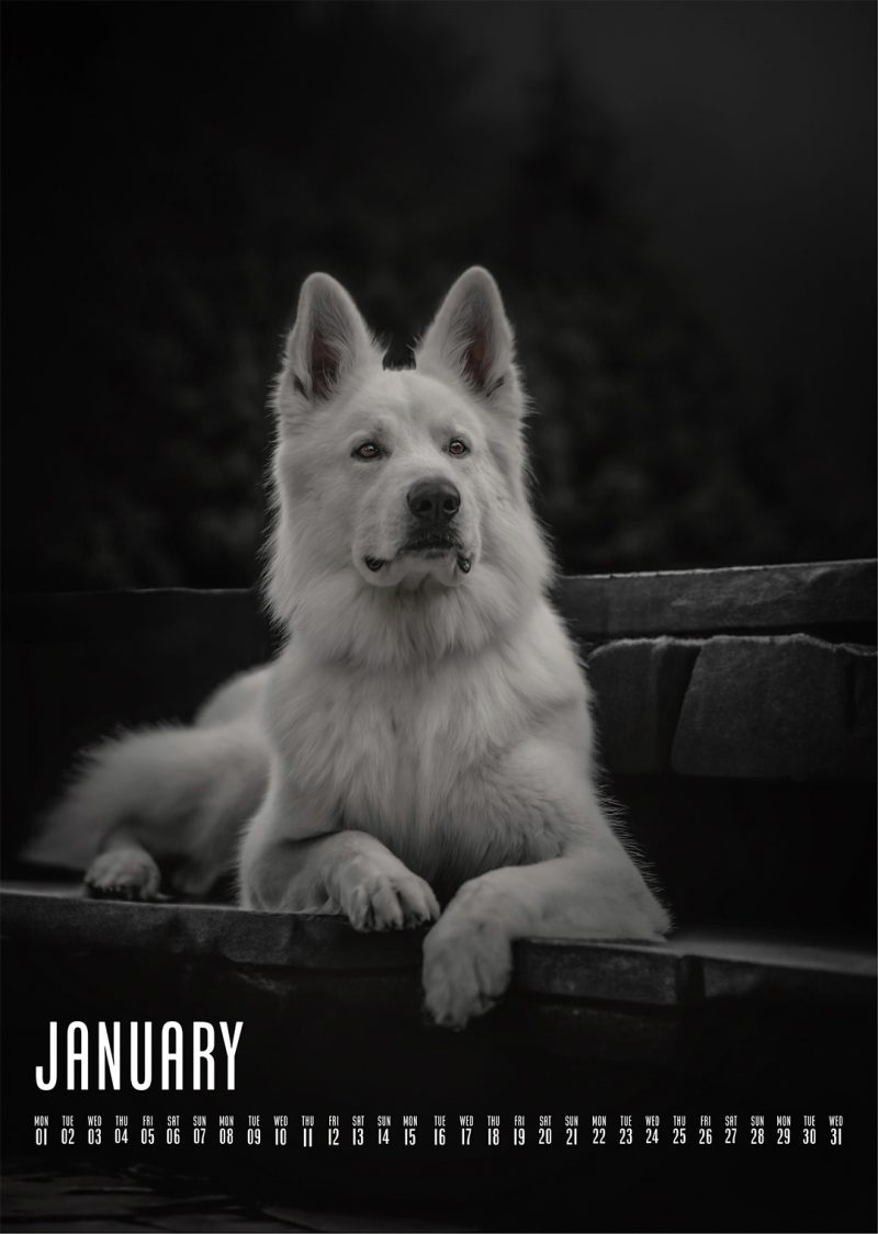 Muchacho Charly A4 Photo Calendar 2024 - Image 2