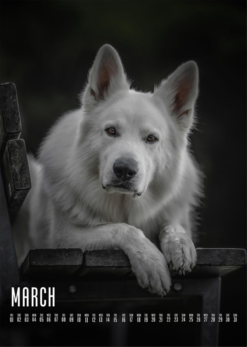 Muchacho Charly A4 Photo Calendar 2024 - Image 3