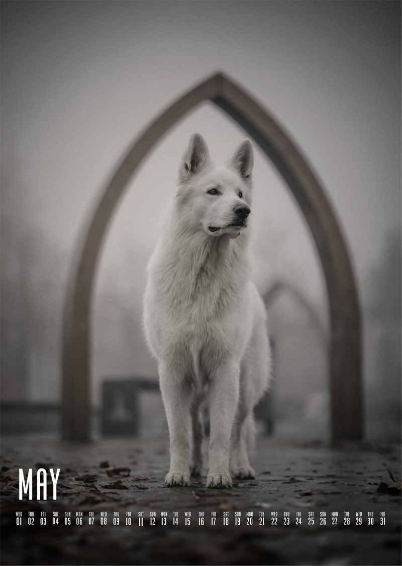 Muchacho Charly A4 Photo Calendar 2024 - Image 5