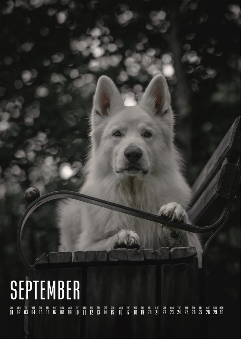 Muchacho Charly A4 Photo Calendar 2024 - Image 6