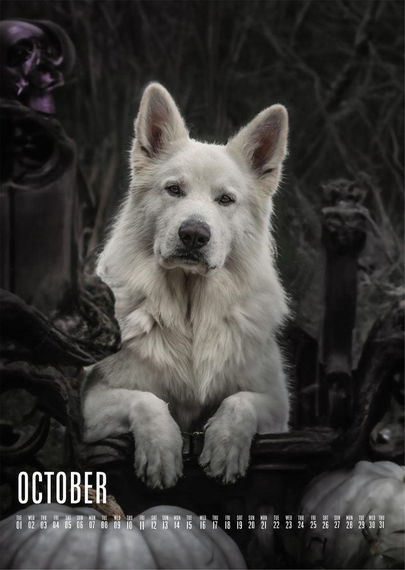 Muchacho Charly A4 Photo Calendar 2024 - Image 7