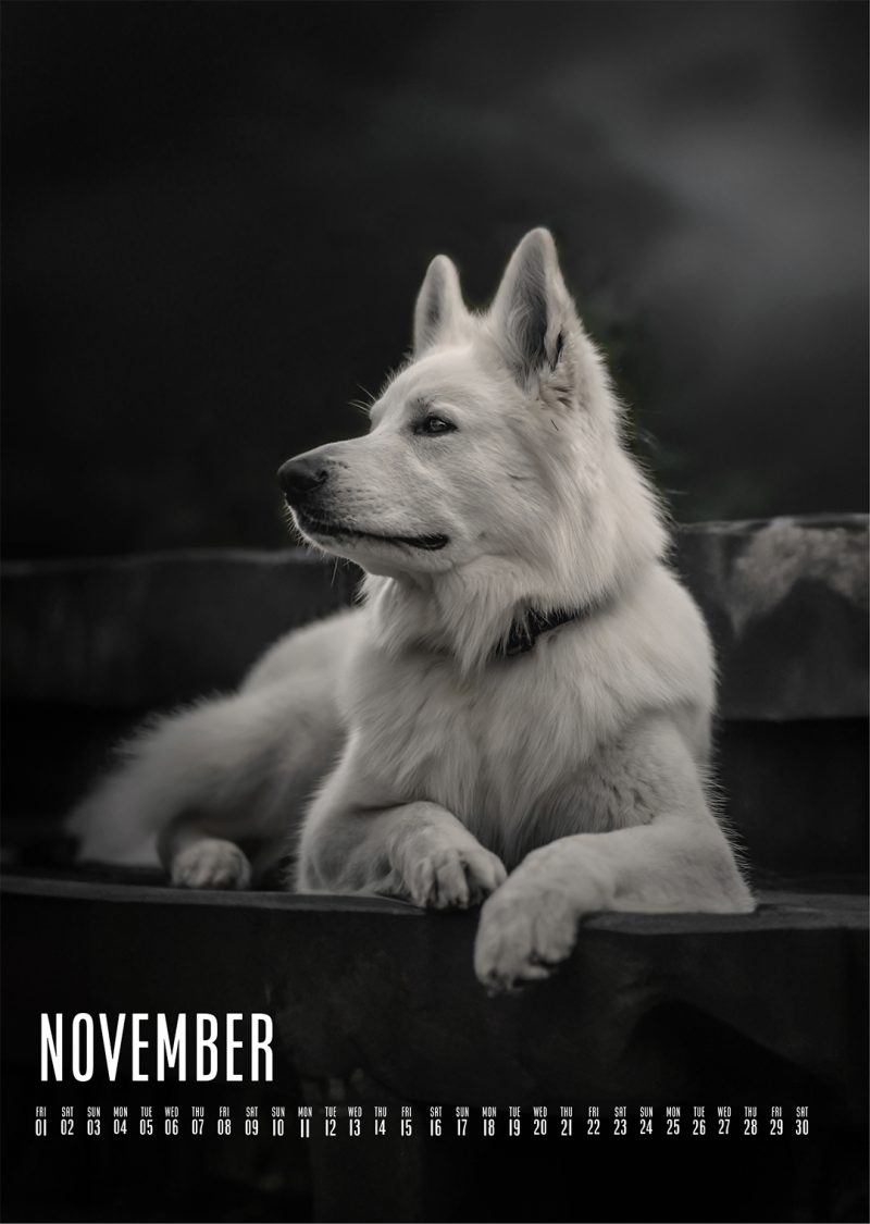 Muchacho Charly A4 Photo Calendar 2024 - Image 8