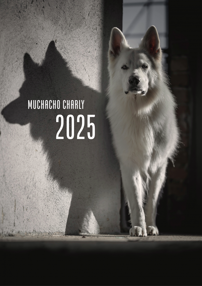 Muchacho Charly A3 Photo Calendar 2025