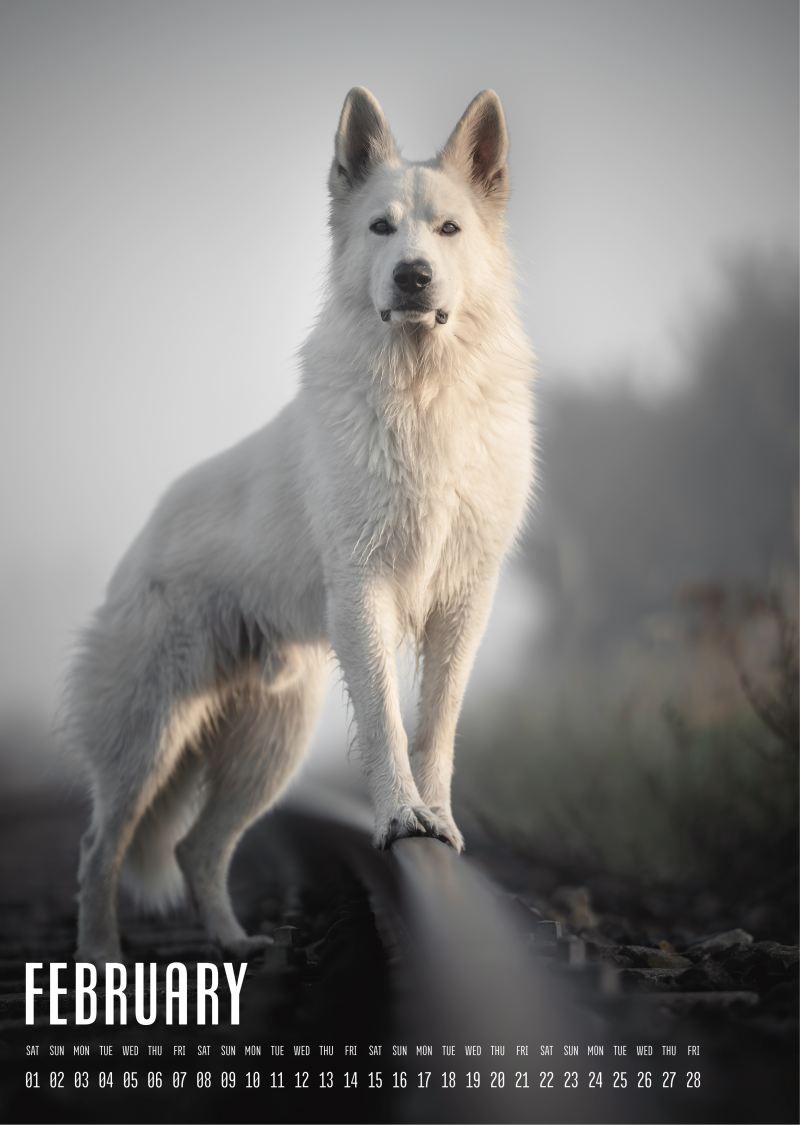 Muchacho Charly A3 Photo Calendar 2025 - Image 3