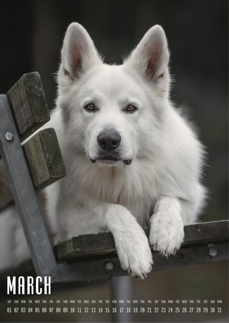 Muchacho Charly A3 Photo Calendar 2025 - Image 4
