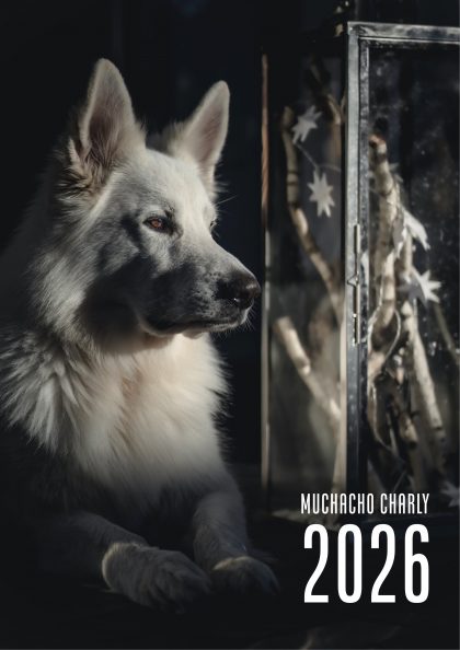 Muchacho Charly A3 Photo Calendar 2026