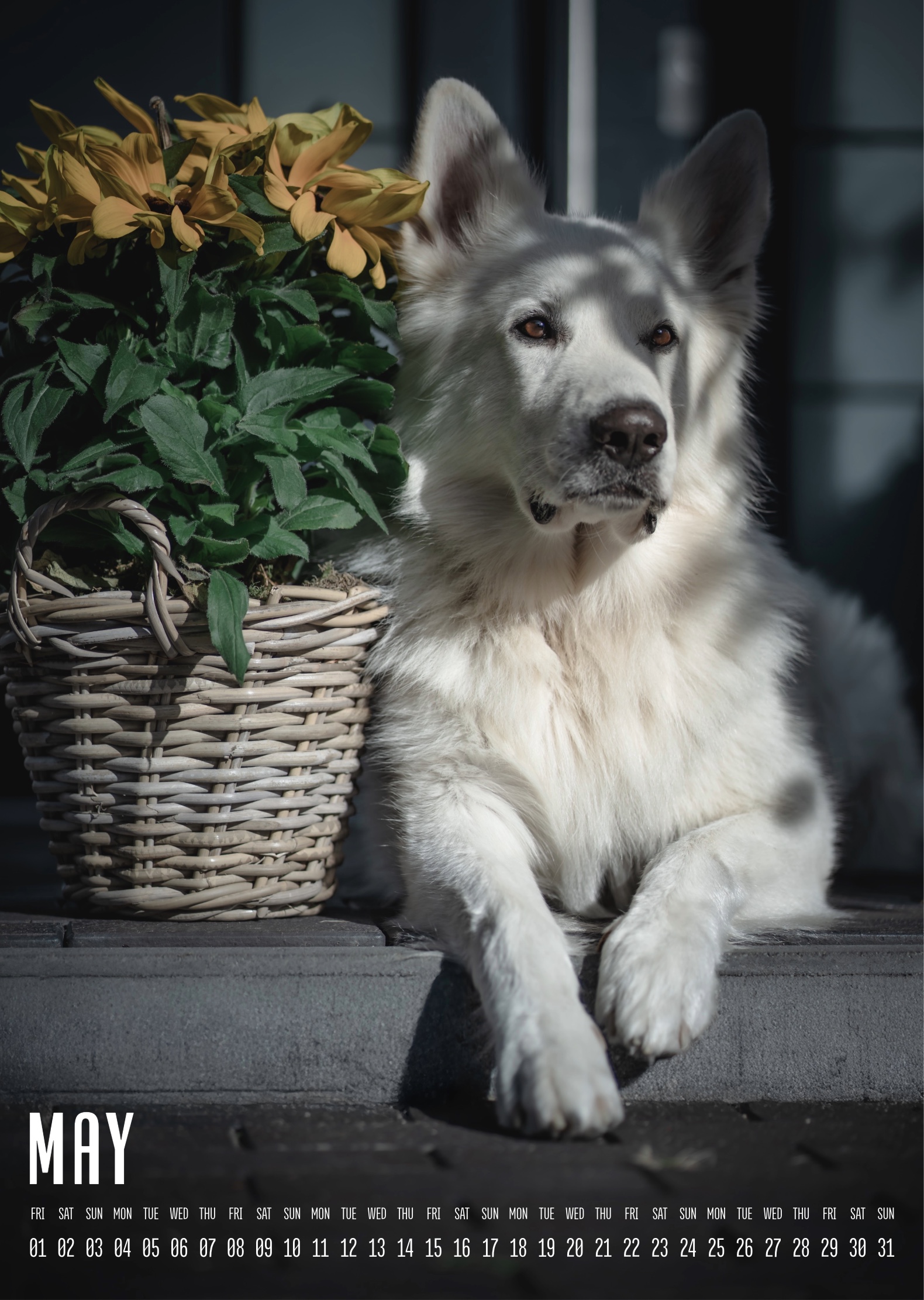 Muchacho Charly A3 Photo Calendar 2026 - Image 6