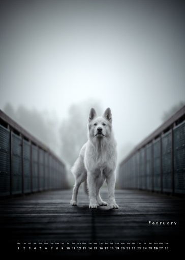 Muchacho Charly A4 Photo Calendar 2023 – Bild 12