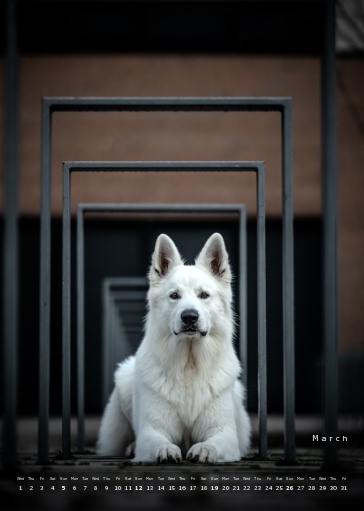 Muchacho Charly A4 Photo Calendar 2023 – Bild 11