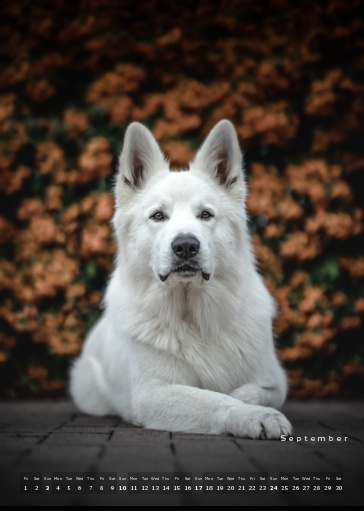 Muchacho Charly A4 Photo Calendar 2023 – Bild 5