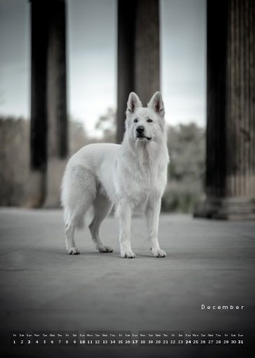 Muchacho Charly A4 Photo Calendar 2023 – Bild 2