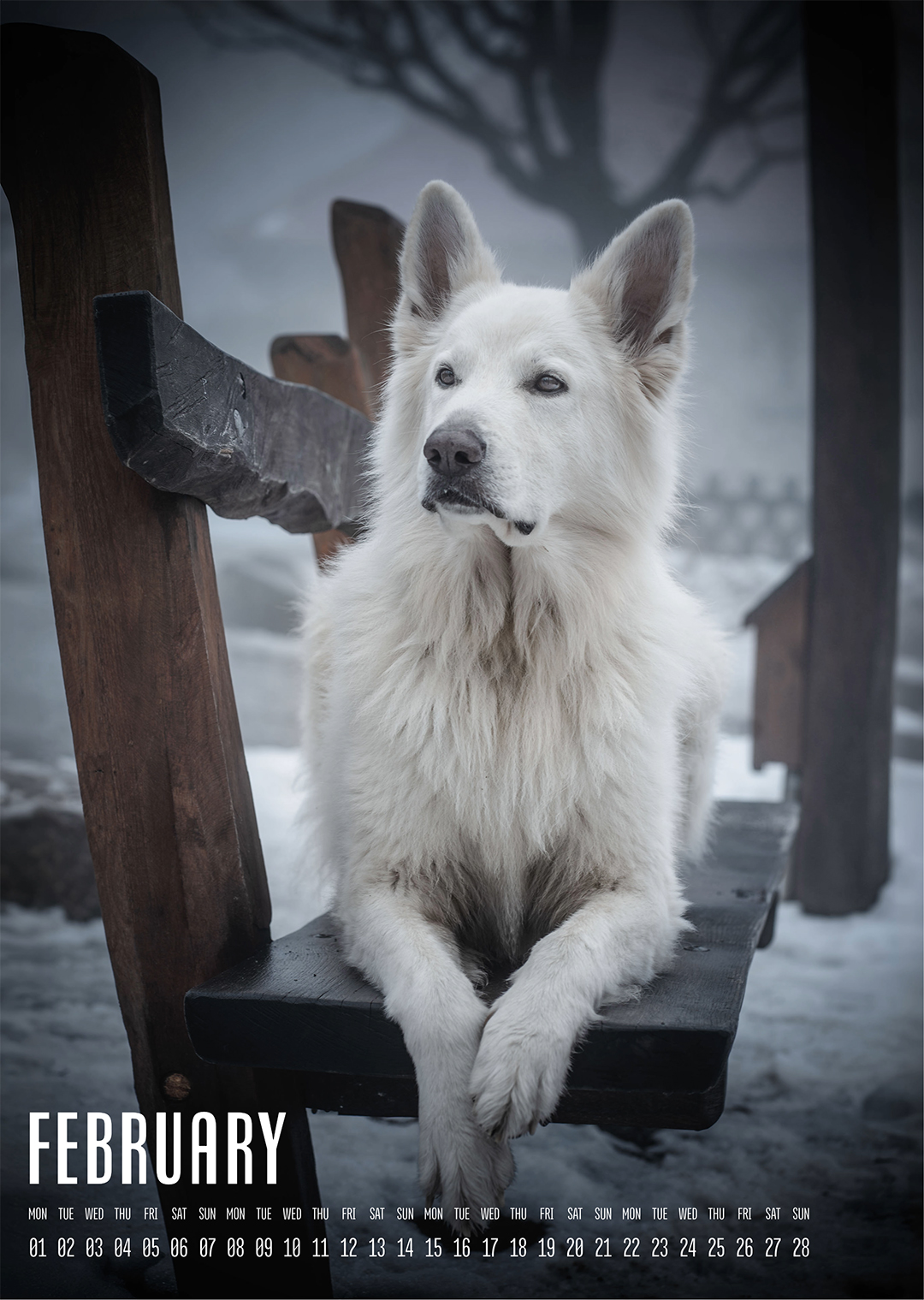 Muchacho Charly A4 Photo Calendar 2027 – Bild 3