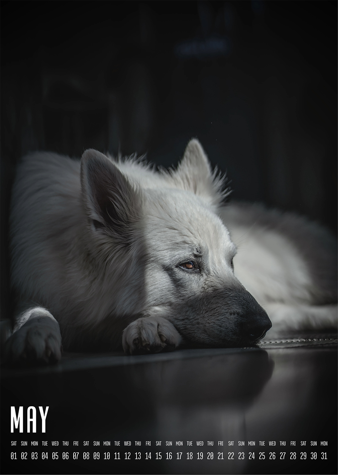 Muchacho Charly A4 Photo Calendar 2027 – Bild 6