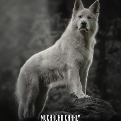 Muchacho Charly A4 Photo Calendar 2024