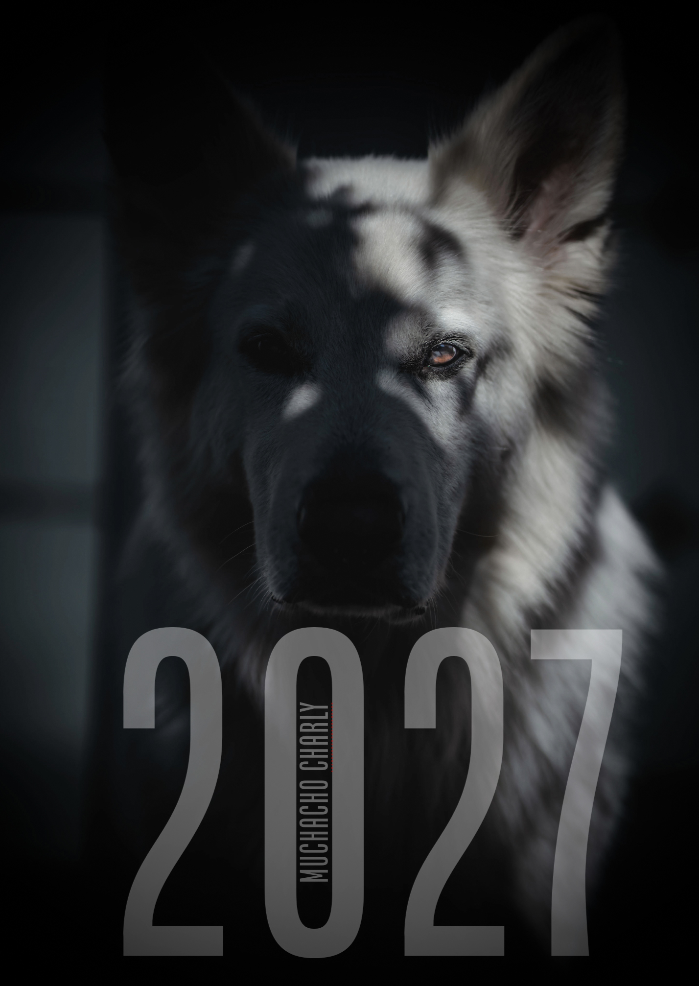 White Swiss Shepherd Calendar 2027