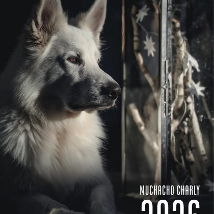 Muchacho Charly A4 Photo Calendar 2026